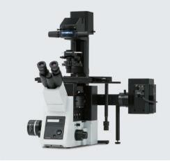 奥林巴斯IX73倒置显微镜