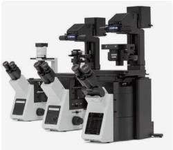 奥林巴斯IX53倒置生物显微镜